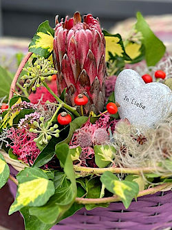 grabschmuck  © Gärtnerei Klumpen