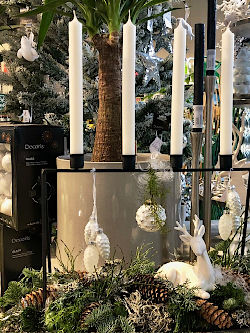 Advent und Weihnachten leuchten in allen Farben bunt und fröhlich! Was für eine zauberhafte Zeit! © Gärtnerei Klumpen