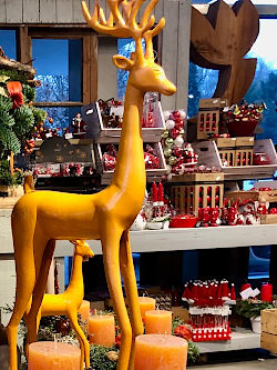 Advent und Weihnachten leuchten in allen Farben bunt und fröhlich! Was für eine zauberhafte Zeit! © Gärtnerei Klumpen