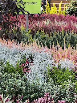 Im November ist die beste Pflanzzeit für Sträucher, Bäume und Gehölze  © Gärtnerei Klumpen