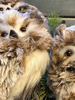 Wei&szlig;e Weihnacht aus der G&auml;rtnerei: Festliche Orchideen, Kerzenlicht mit winterlicher Vogelzier, kuschelige Eulen und eine kleine Tanne, die "Frohe Weihnachten" fl&uuml;stert. Stille Momente der Natur, die Sie in unserer Winterpause begleiten! &copy; G&auml;rtnerei Klumpen