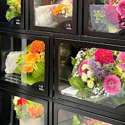 Blumenautomat defekt!  &copy; G&auml;rtnerei Klumpen