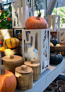 Herbst f&uuml;r drinnen und drau&szlig;en: Heide aus der G&auml;rtnerei, nat&uuml;rliche Deko und gem&uuml;tliche Indoor-Akzente. Auf geht's: robuste Pflanzen f&uuml;r Stadtg&auml;rten und Balkone, denn jetzt ist die beste Pflanzzeit! &copy; G&auml;rtnerei Klumpen